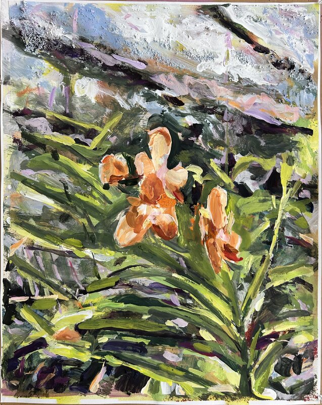 Orange orchid